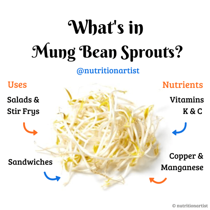 Nutrition Facts of Bean Sprouts A Deep Dive